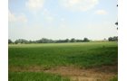 Property photo 12 - 160 Acres Offered in 6 Tracts